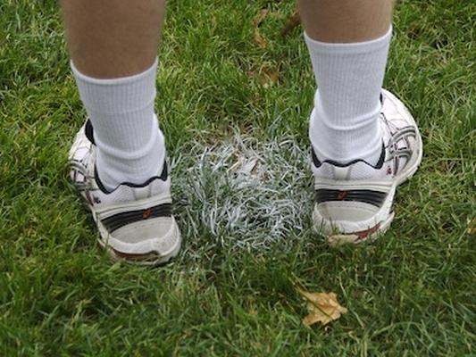 a person's feet in a grassy area