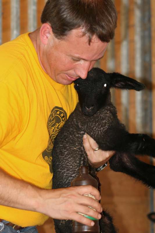 a man holding a black lamb