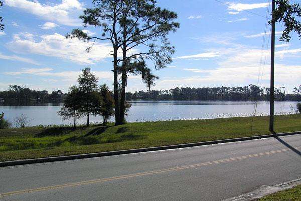 a road with grass and trees by a lake