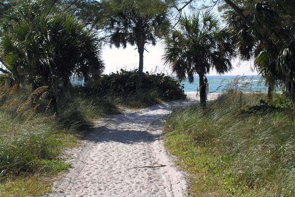a path leading to the ocean