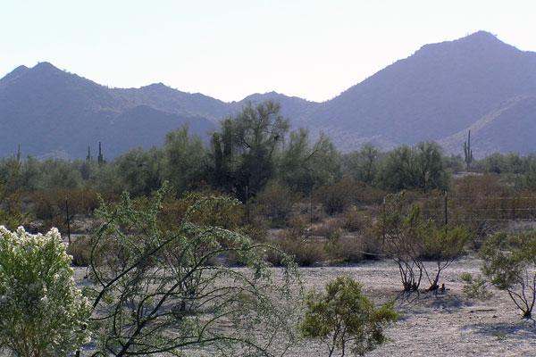 a desert landscape with mountains in the background