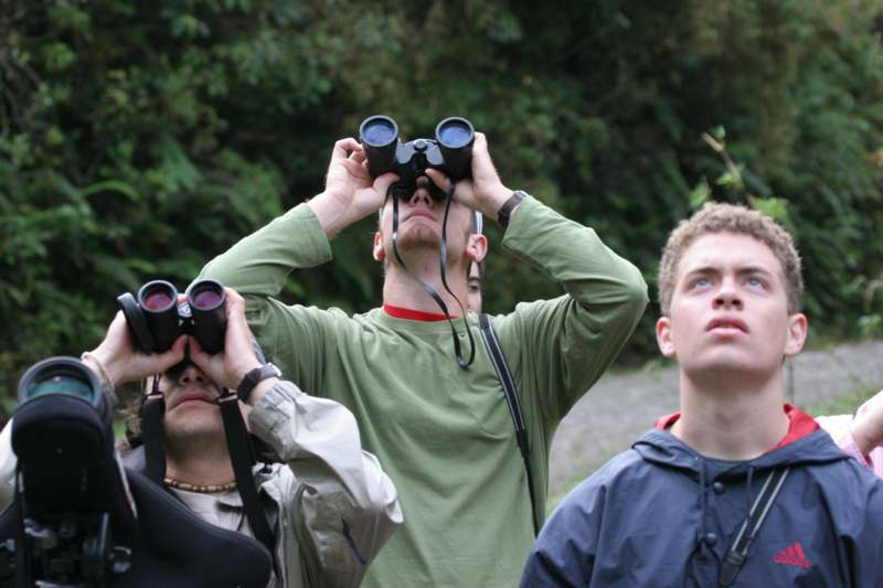a group of people looking through binoculars