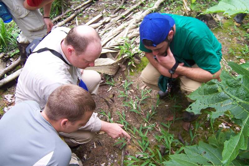 a group of men looking at a small plant