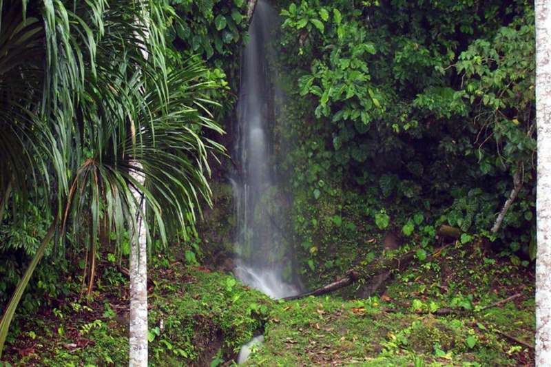 a waterfall in the jungle
