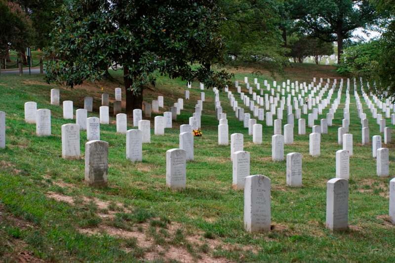 a group of white tombstones in a cemetery with Arlington National Cemetery in the background