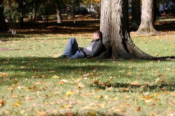 a man sitting under a tree
