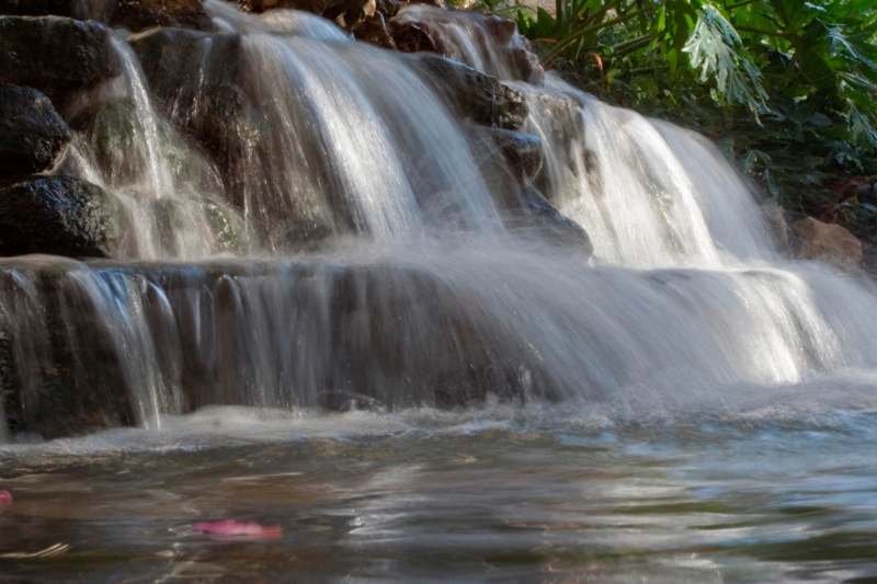 a waterfall with rocks and plants