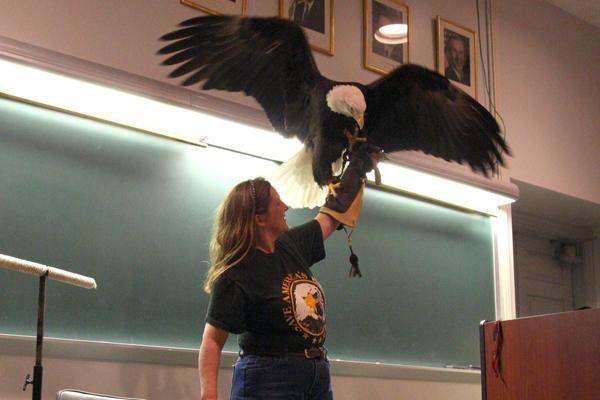 a woman holding a bald eagle