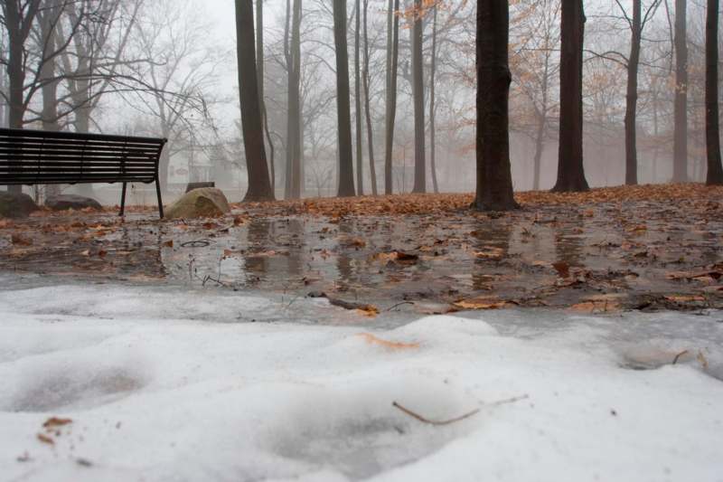 a bench in a park with snow and trees
