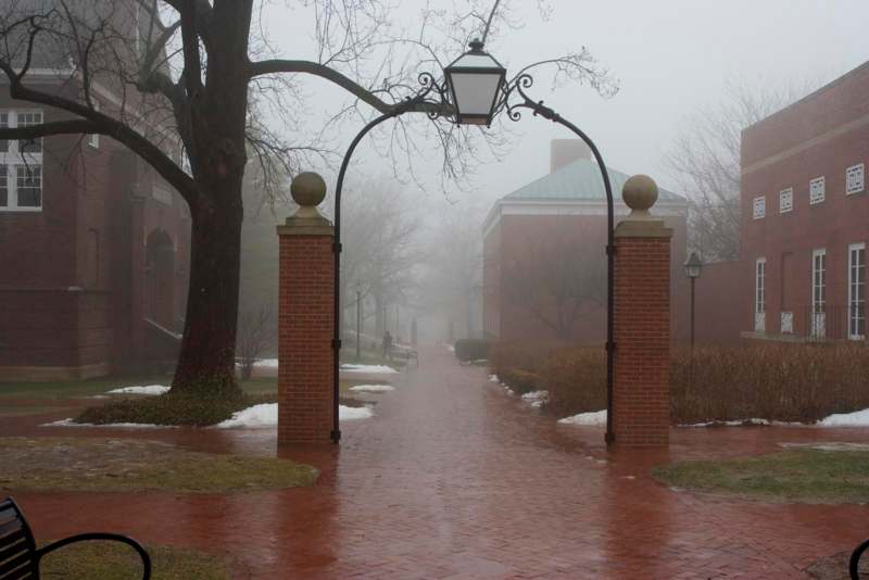 a brick walkway with a lamp post and trees
