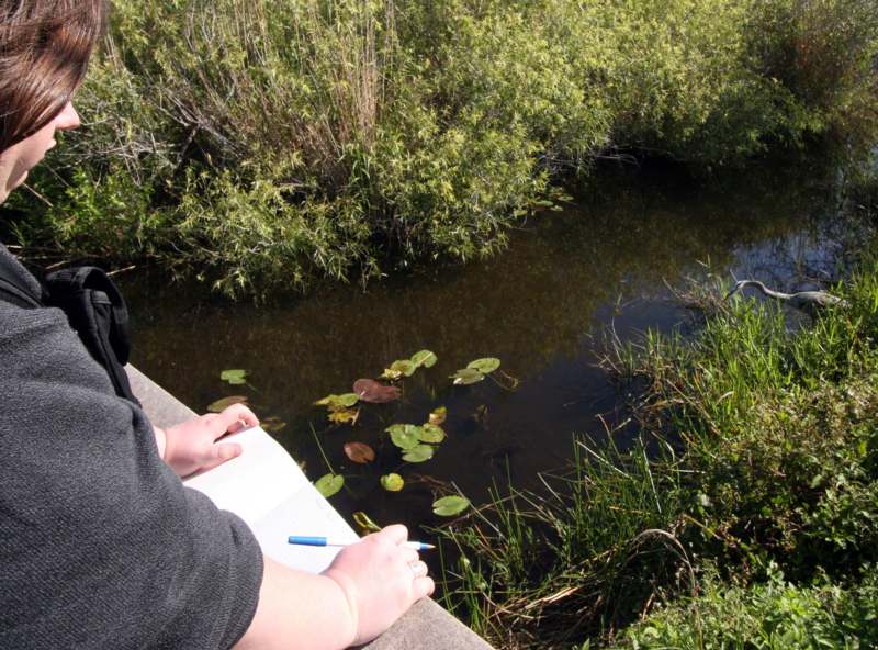 a person writing in a notebook next to a stream