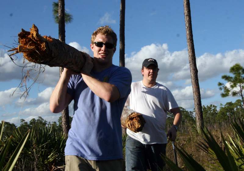 a couple of men carrying a log