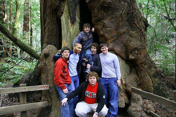 a group of people posing for a photo in a tree