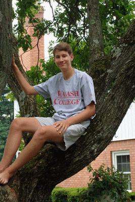 a boy sitting in a tree