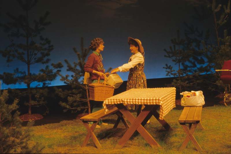 a couple of women standing next to a picnic table
