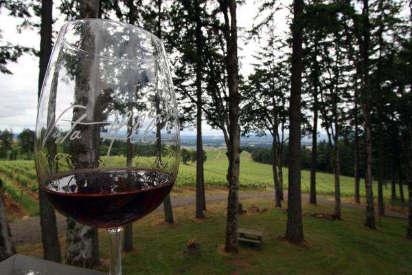 a glass of wine with trees in the background