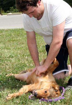a man petting a dog