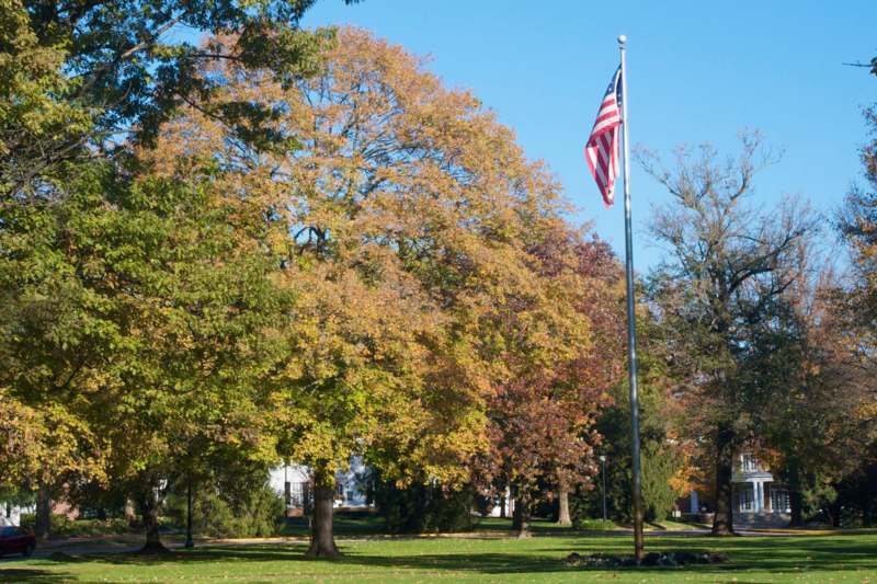 a flag on a pole in a park