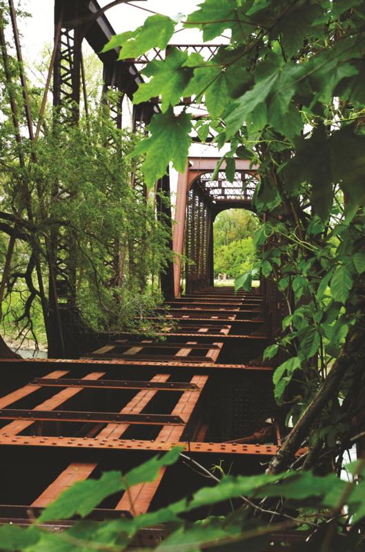 a bridge with trees and plants