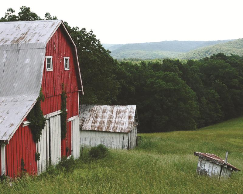 a red barn and shed in a field