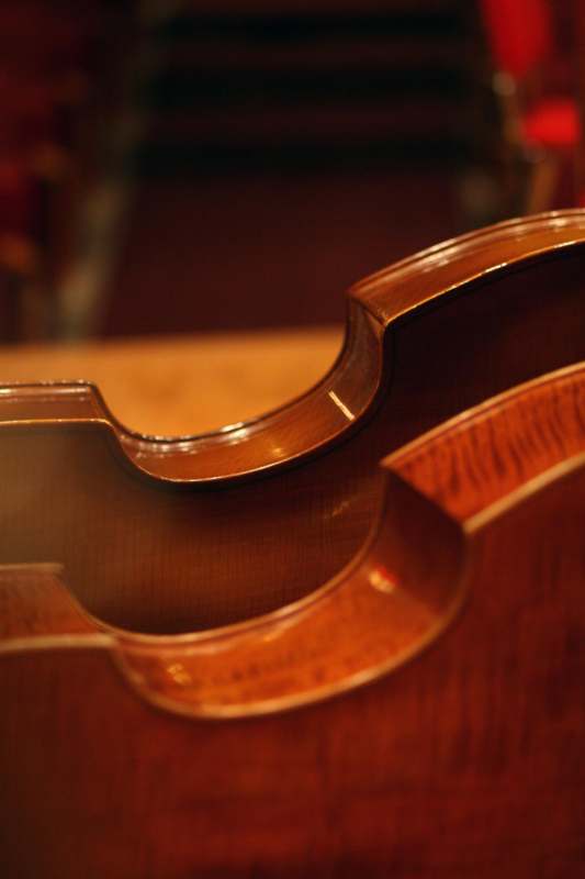 close up of a violin