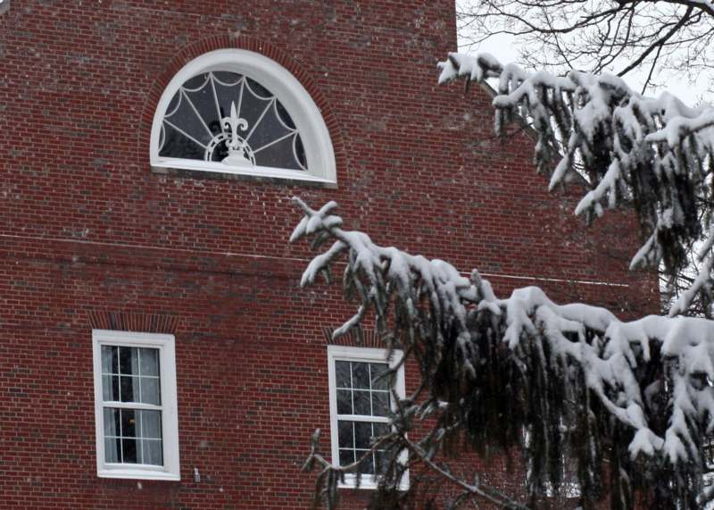 a snow covered tree next to a building