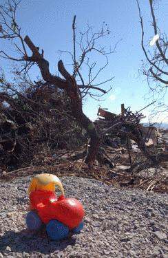 a red and yellow toy on a rocky ground