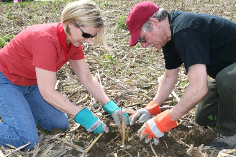 a man and woman planting a plant