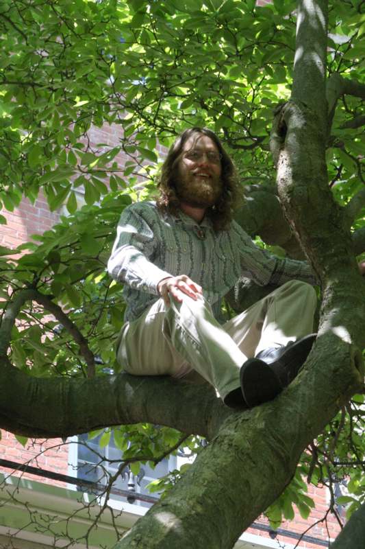 a man sitting in a tree