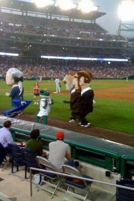 a group of people in mascot clothing on a baseball field