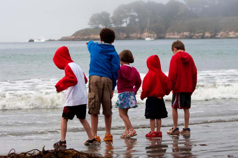 a group of children standing on a beach looking at the water