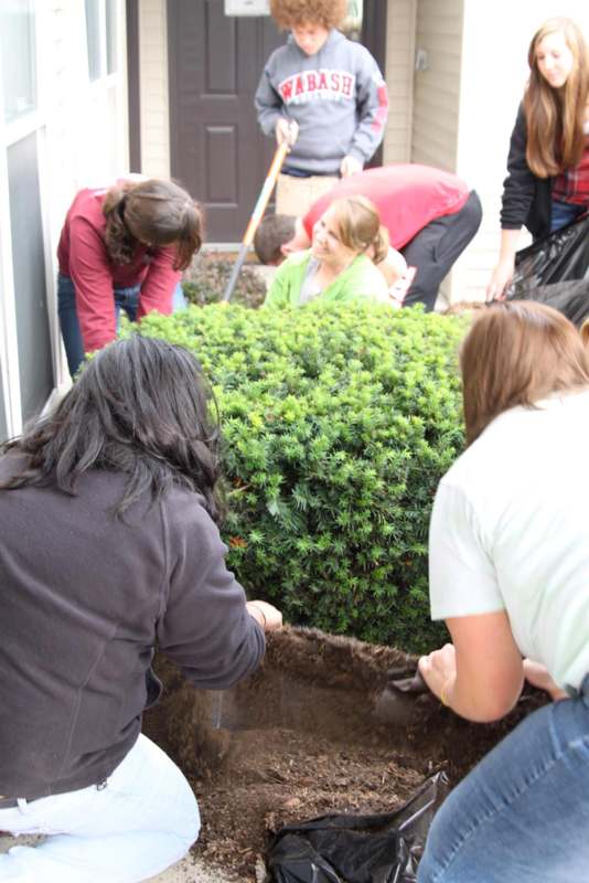 a group of people planting a bush