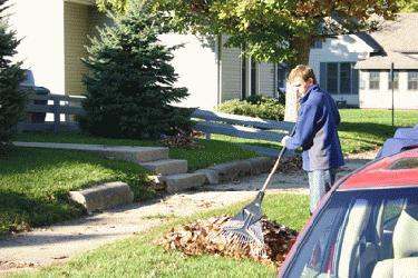 a man raking leaves in the driveway