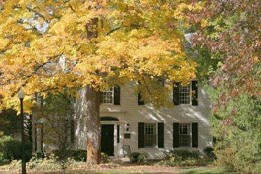 a house with yellow leaves
