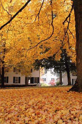 a house with yellow leaves on the ground