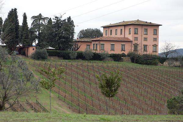 a large house in a vineyard