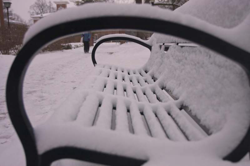 a close-up of a bench covered in snow