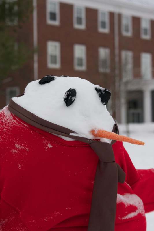 a person wearing a red shirt and tie with a carrot nose and a red sweater