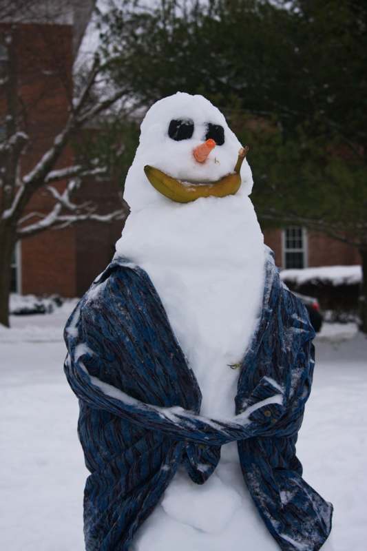 a snowman with a banana and sunglasses