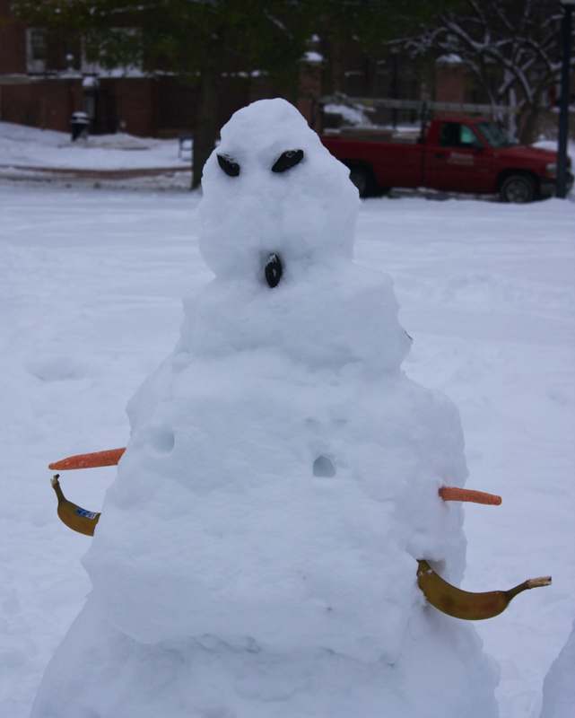 a snowman with bananas and carrots