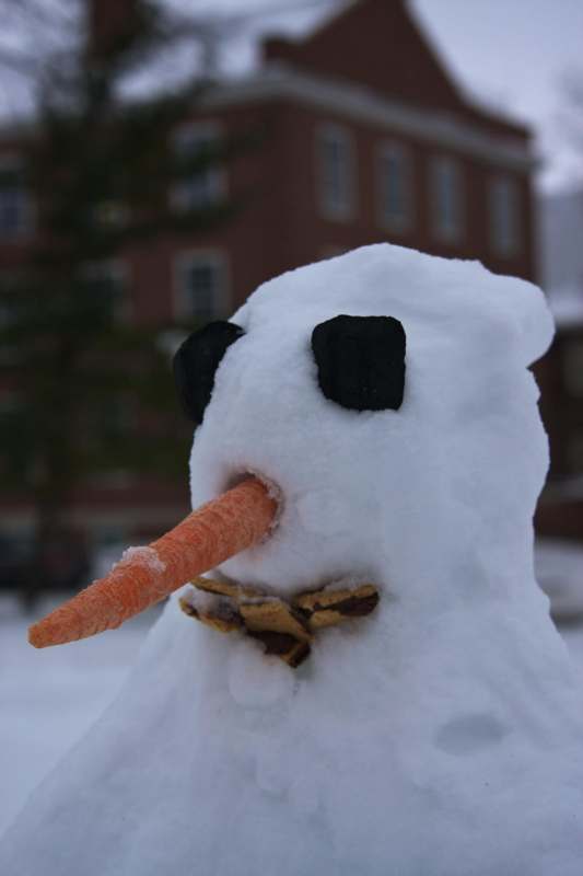 a snowman with a carrot nose