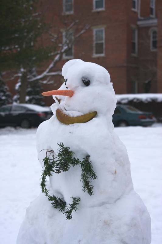 a snowman with a carrot and a banana