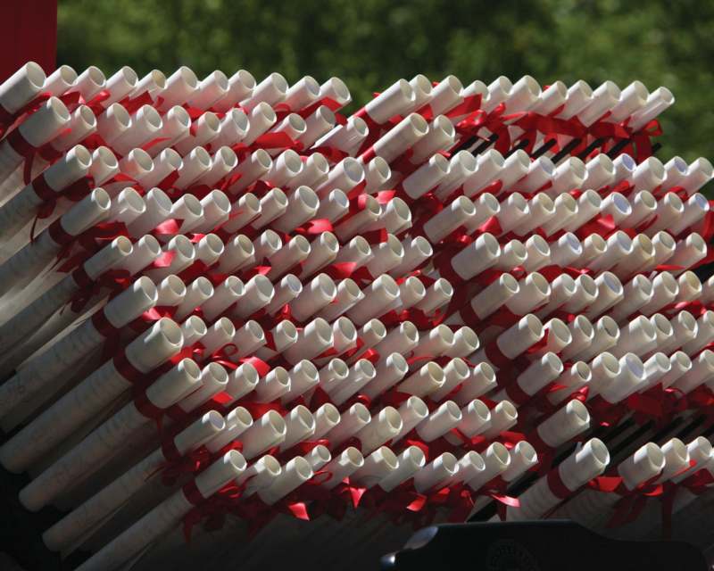 a group of white tubes with red ribbons