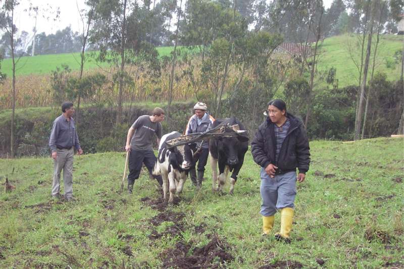 a group of men working on a farm