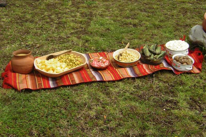 food on a blanket on the grass