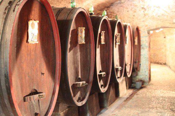 a row of wooden barrels in a cellar