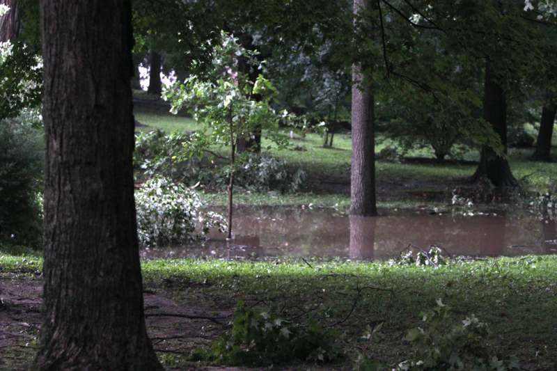 a flooded area with trees and grass