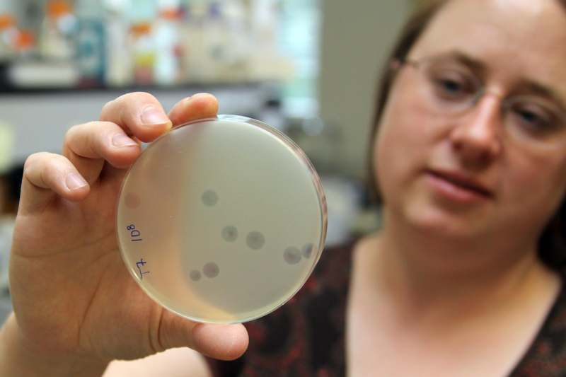a woman holding a petri dish