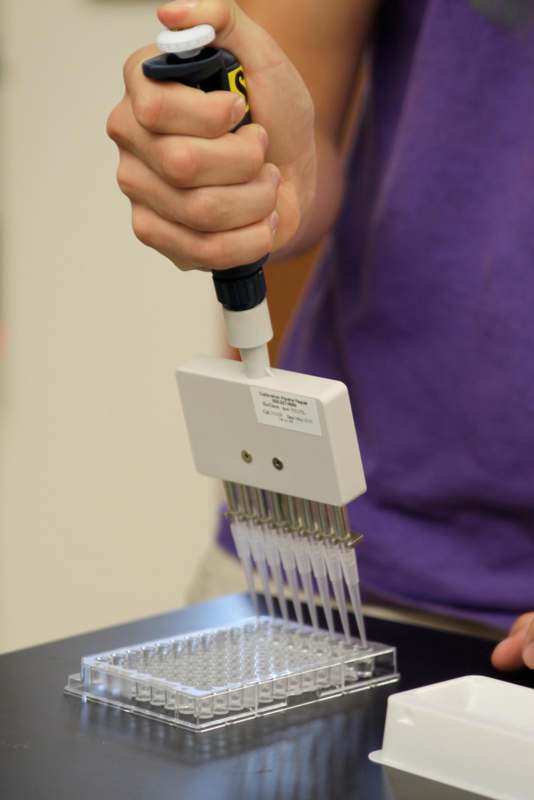 a person holding a pipette over a test tube