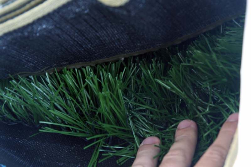 a person touching a green grass